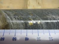 Bohrkern mit sichtbarem Gold; Foto: Treasury Metals