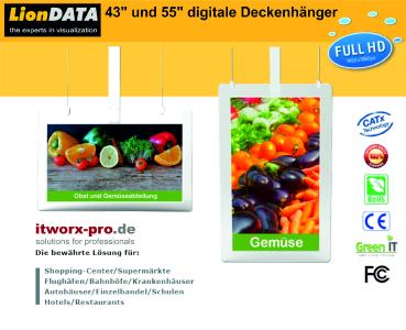 LionDATA Digitale Deckenhänger