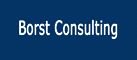 logoBorst.jpg