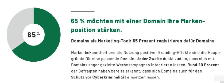 Marketing-Tool+Domain+-+65+Prozent+registrieren+dafür+Domains.png
