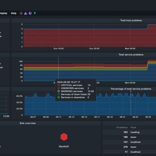 Wie funktioniert das Überwachen von Schnittstellen und Ports mit Checkmk?