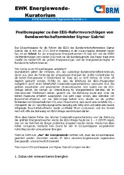 BRM EWK Positionspapier 27.1.14.pdf