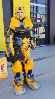Bumblebee-576x1024.jpg