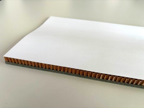 BBG PI JEC 2025 Foto 3.jpeg