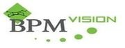 Logo BPM-Vision.jpg