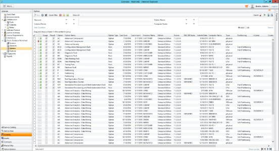Oracle Database Compliance - Options - EN.jpg