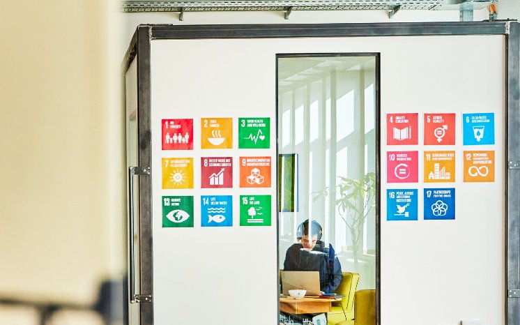 Sustainability Day-800x500.png