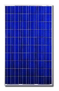 Das CS6P P Solarmodul von Canadian Solar