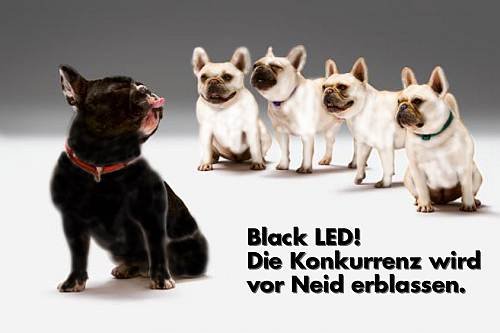 Black LED.jpg