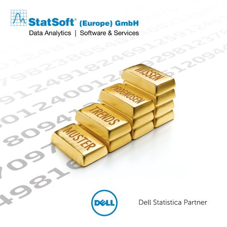 StatSoft - Dell Statistica Partner.jpg