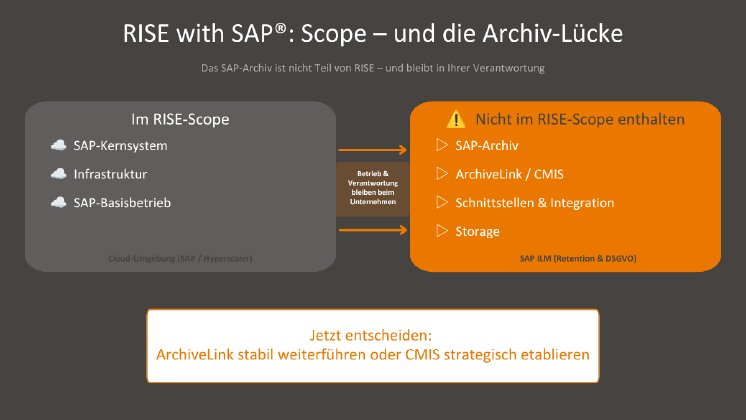 rise-sap-archiv-scope-luecke-infografik.png.png