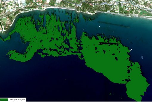 24_COASTS_seagrass_Ligura_EOMAP_legend.jpg