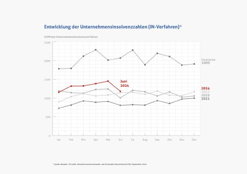 Grafik_IN-Verfahren_Juni_2024.jpg