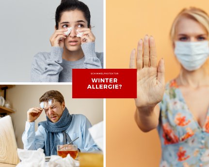 Blog Winter Allergie.png