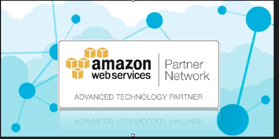 Advanced Partner Logo.png