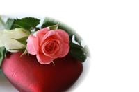 Mom-Domains - ein passendes Geschenk zum Muttertag