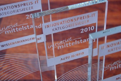 bild000-Innovationspreis-IT-2010-Pokal.jpg
