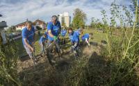 Evaluation zum Freiwilligentag liegt vor