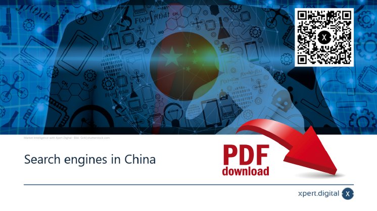 search-engine-china-pdf-download.png