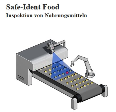 Safe_Ident_Food.jpg