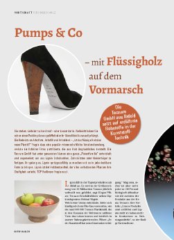 TOP-Magazin-Heilbronn-Winter-12-13-Tecnaro.pdf