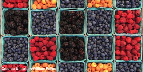 Beeren Teaser.png