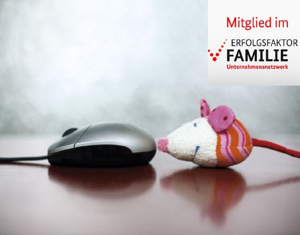 Erfolgsfaktor-familie.png