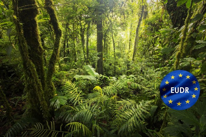 202410_Headerbild_Beitrag_EUDR.jpg#msdynmkt_trackingcontext=ff1b1b9a-c2e5-4e1f-b197-3a128120086b