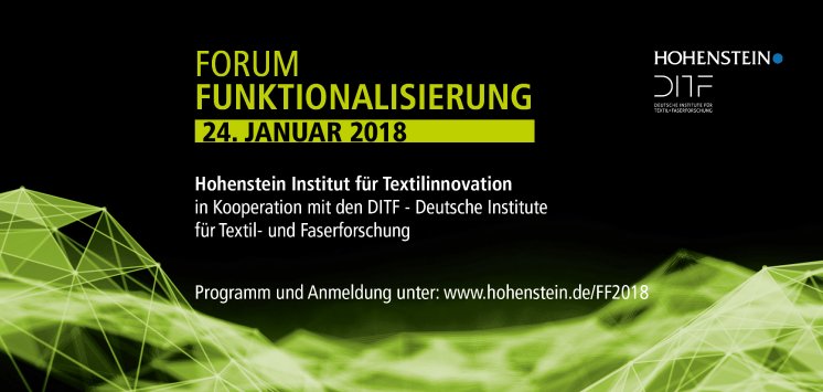 Forum_Funktionalisierung2018_Hohenstein_Group.jpg