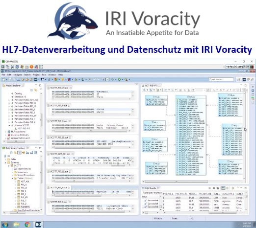 HL7-Datenverarbeitung und Datenschutz mit IRI Voracity.jpg