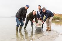 LAV-Präsident Prof. Dr. Karl-Heinz Brillowski, Landwirtschaftsminister Dr. Till Backhaus, die 1. Fischerkönigin des Landes Mecklenburg-Vorpommern, Jeannette Dehmel, und WEMAG-Vorstand Caspar Baumgart (v.l.) beim Einsetzen der Aale in den Goldberger See, Foto: WEMAG/Stephan Rudolph-Kramer