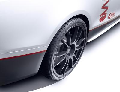 Eibach Audi S5 detail