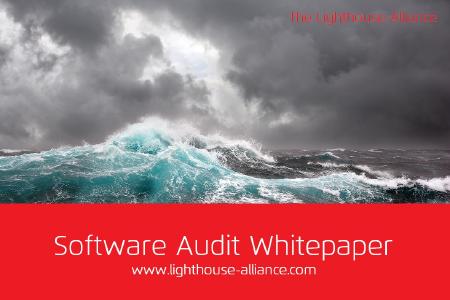 Software Audit Whitepaper