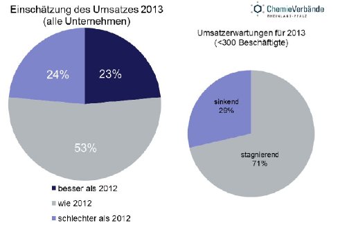 PM Konjunktur 2013 Umsatzerwartungen.pdf