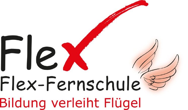 Flex-Logo - Klein.jpg