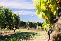 Der 1998 von ABO Wind im rheinhessischen Framersheim errichtete Windpark soll in naher Zukunft durch neue Windenergieanlagen ersetzt werden. An dem Repowering-Projekt will sich ABO Invest beteiligen. Das ist ganz im Sinne der Genossenschaft SOLIX, die in größerem Umfang Bürgerwindaktien erworben hat und ihren Bestand weiter aufstocken möchte