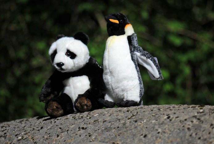 Google-Penalty-Panda-Penguin.jpg