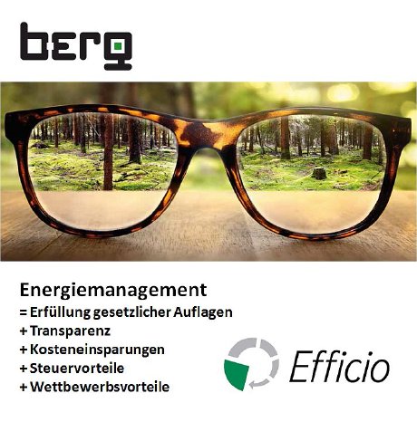 berg_efficio_smarte_energienutzung.jpg