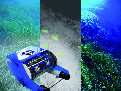 SMM 2014_Fraunhofer-Forscher verbessern Unterwasseraufnahmen.jpg