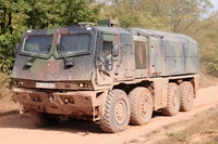 WISENT (Foto: Ralph Zwilling)