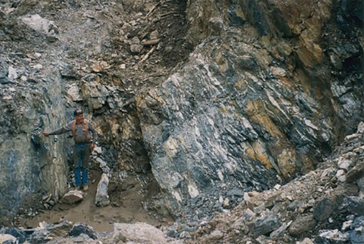16-Vein-large-1024x689.jpg