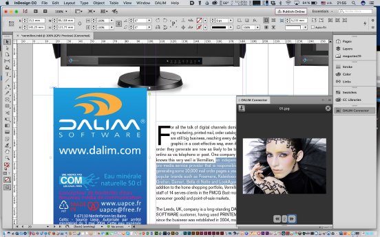 DALIM-ES-Silicon-Publishing03.jpg