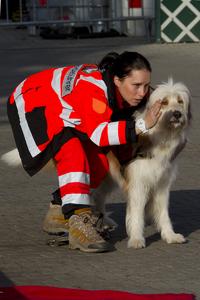 Isa Federer und ihr Rettungshund Amigo