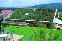 Dieses Blockhaus in Vaihingen/Enz-Roßweg hat mit dem System Georaster® eine dauerhaft sichere Schrägdachbegrünung erhalten.