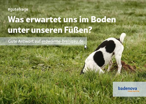 badenovaWÄRMEPLUS_Kampagnenmotiv Hund #gutefrage.jpg