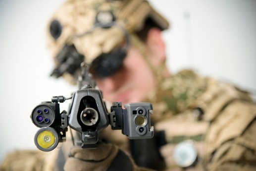 GÜZ Regeneration (2).jpg