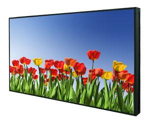Inline_46_300_Tulpen.jpg