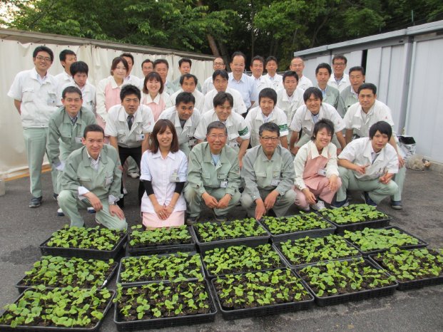 Kyocera Employees Preparing Goya Seedlings.jpg