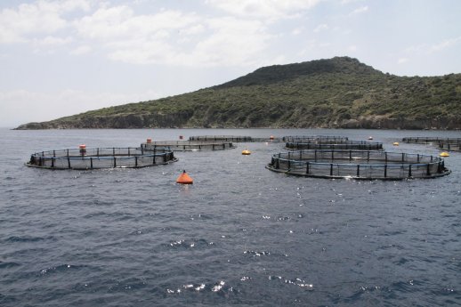Aquaculture site in the Mediterranean I.jpg