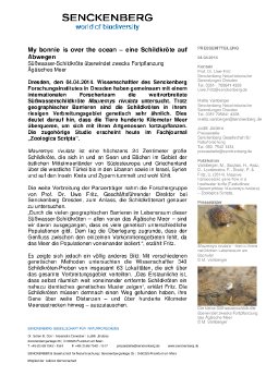 2014_04_04PMSchildkröteaufAbwegen.pdf